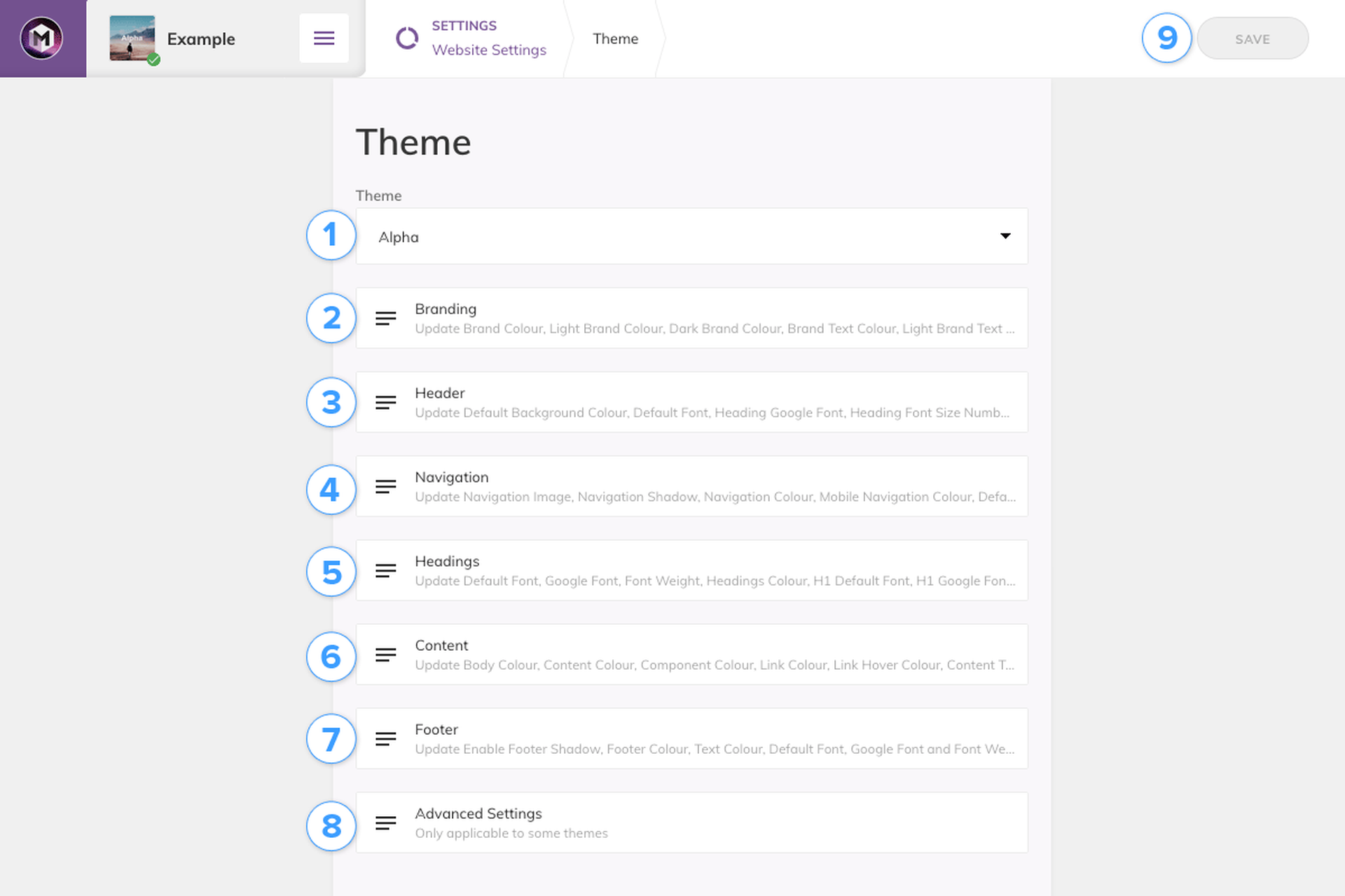 Theme Settings